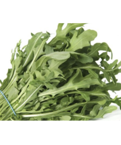 Rucula (precio comprando por Planta)