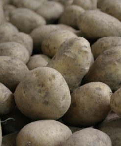 potatoes, potato, potatoe, agriculture