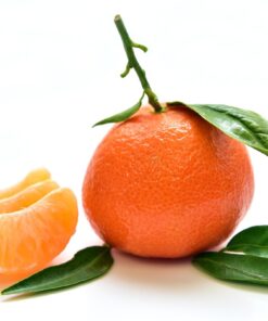 tangerine, fruit, food, nourishment, yummy, fresh, healthy, vitamins, orange, bio, tasty, meal, health, juicy, ripe, cute, citrus fruit, diet, feed, vegetarian, clementines, tangerine, tangerine, tangerine, tangerine, tangerine