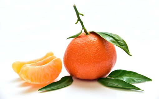 tangerine, fruit, food, nourishment, yummy, fresh, healthy, vitamins, orange, bio, tasty, meal, health, juicy, ripe, cute, citrus fruit, diet, feed, vegetarian, clementines, tangerine, tangerine, tangerine, tangerine, tangerine