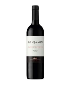 BENJAMIN VINO x 750 ml CABERNET