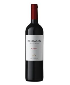 BENJAMIN VINO x 750 ml MALBEC