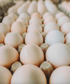 Huevos  GRANDES BLANCOS x 30 unidades