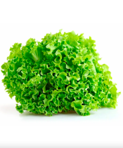 Lechuga Crespa x 1/2 Kg