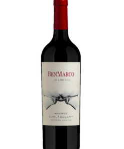 BENMARCO SIN LIMITES "GUALTALLARY" MALBEC