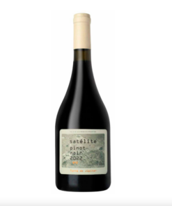 SATELITE TORRE DE JUPITER PINOT NOIR