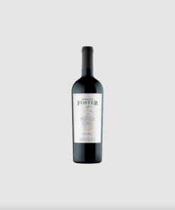 EDICION LIMITADA MALBEC